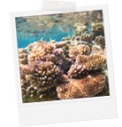 さらに詳しく比較！