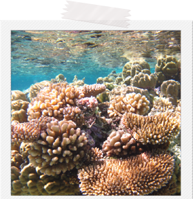 さらに詳しく比較！