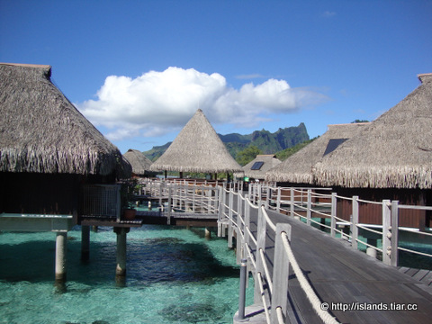 モーレア島のレストラン